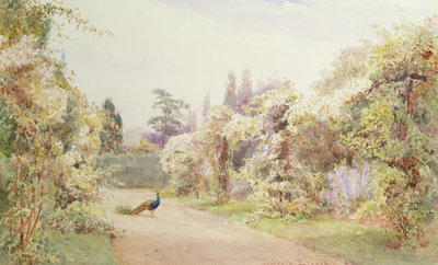 Summer Garden with a Peacock by George Samuel Elgood